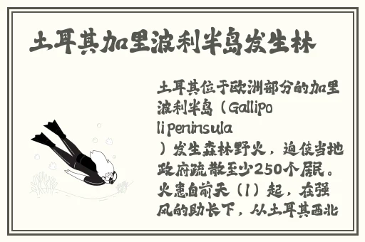 男生用坤坤申请到女生屁眠